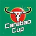شعار كأس رابطة المحترفين